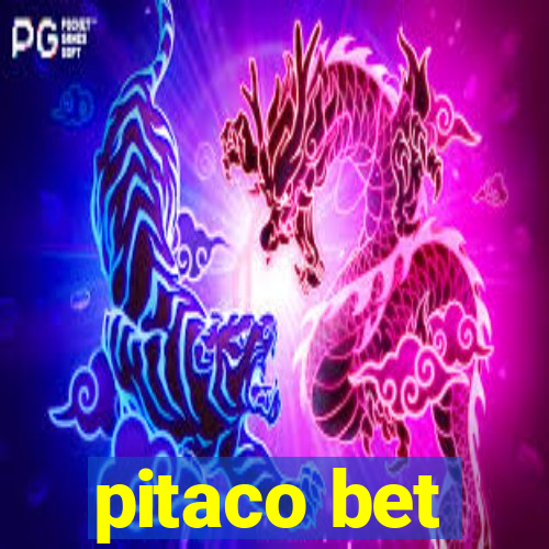 pitaco bet